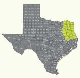 mtm mto service areas texas inc managed transportation region organization