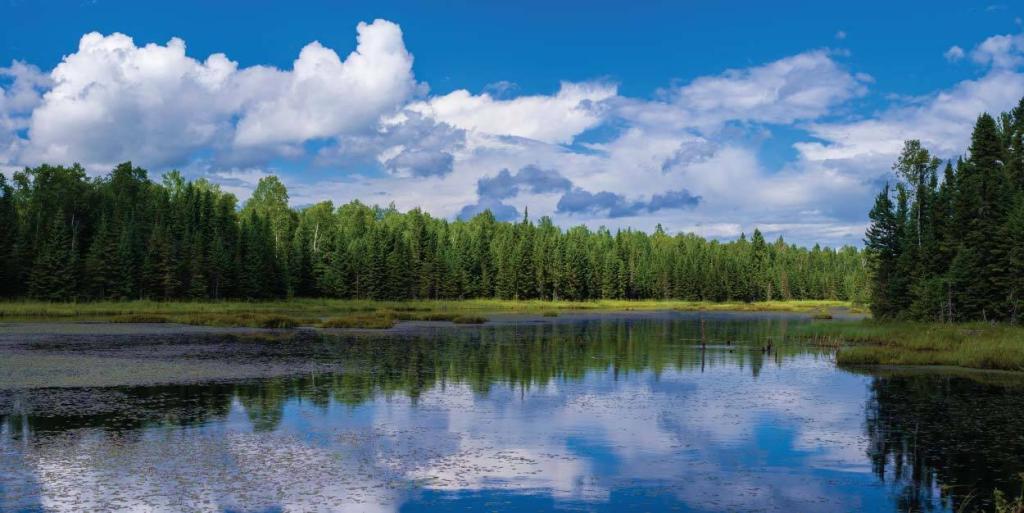 Minnesota landscape