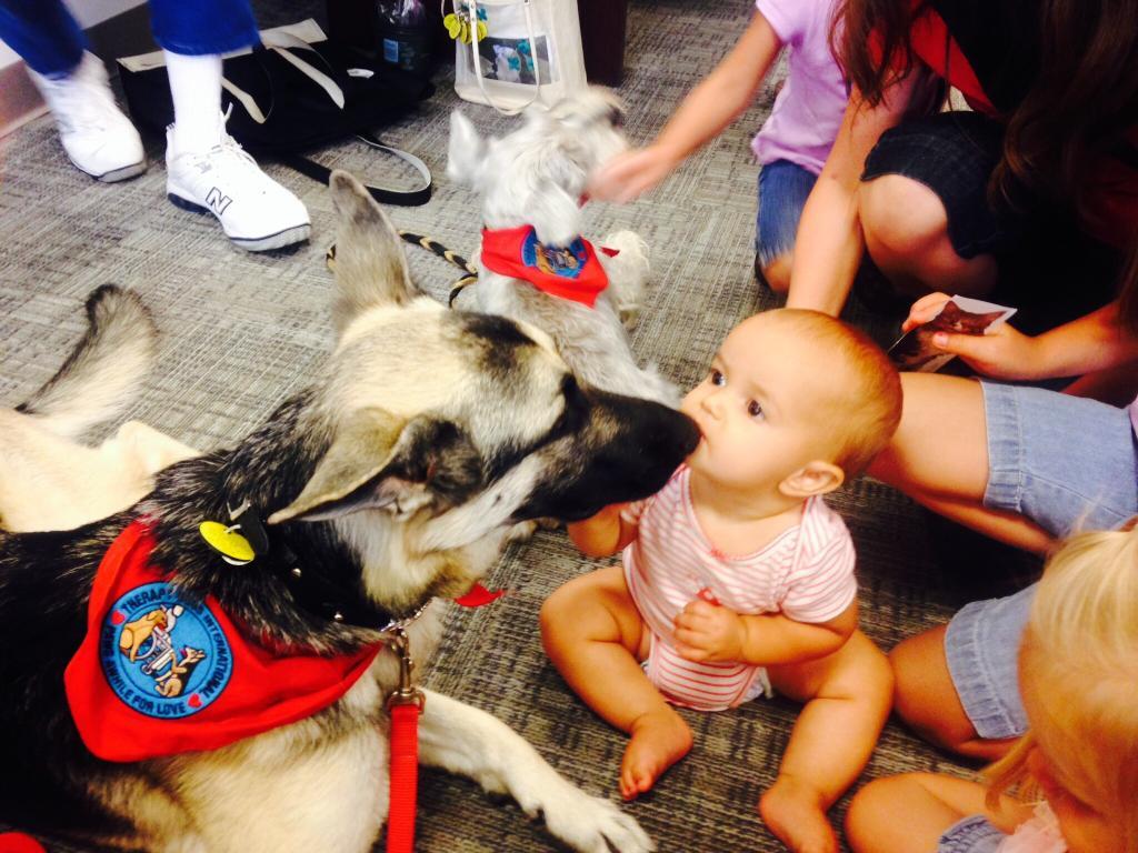 Baby interacting with a therapy dog