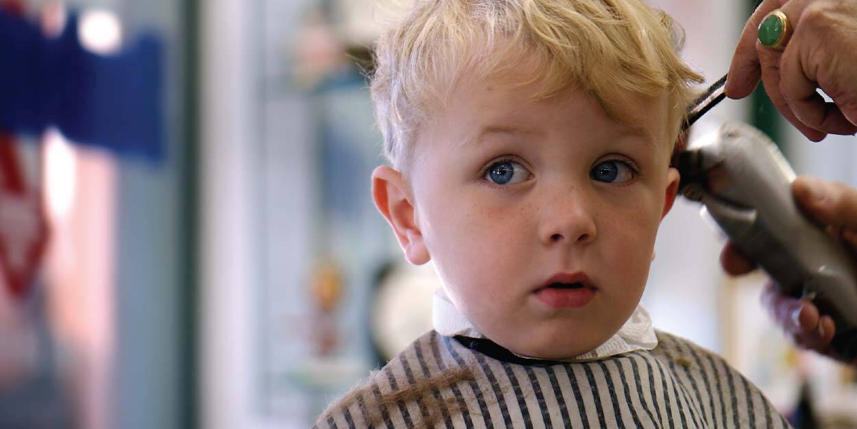 Little boy getting a haircut