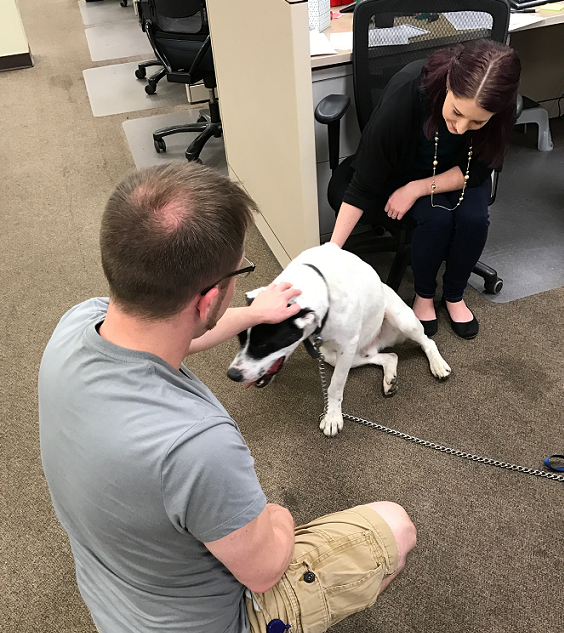 Employees petting a dog at the Pulaski office