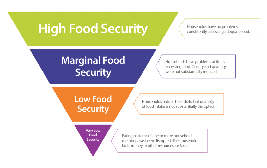 Food Insecurity Pyramid