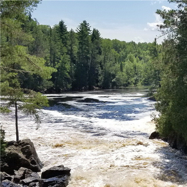 Northern Minnesota landscape