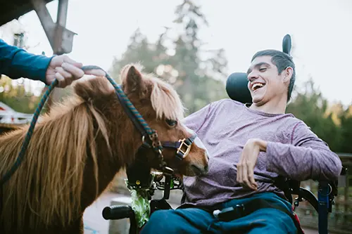Man in wheelchair smiling at a horse; equine therapy