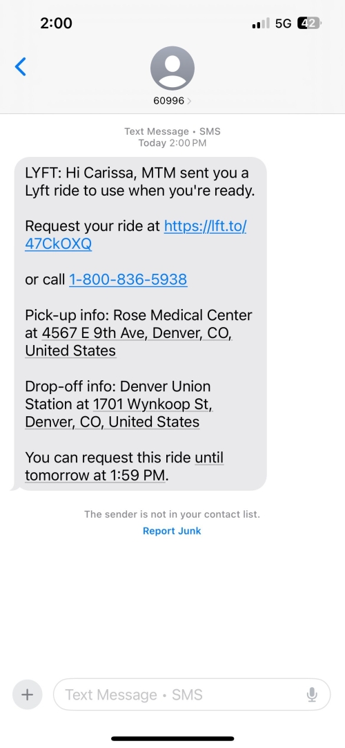 Lyft Flex mobile screen